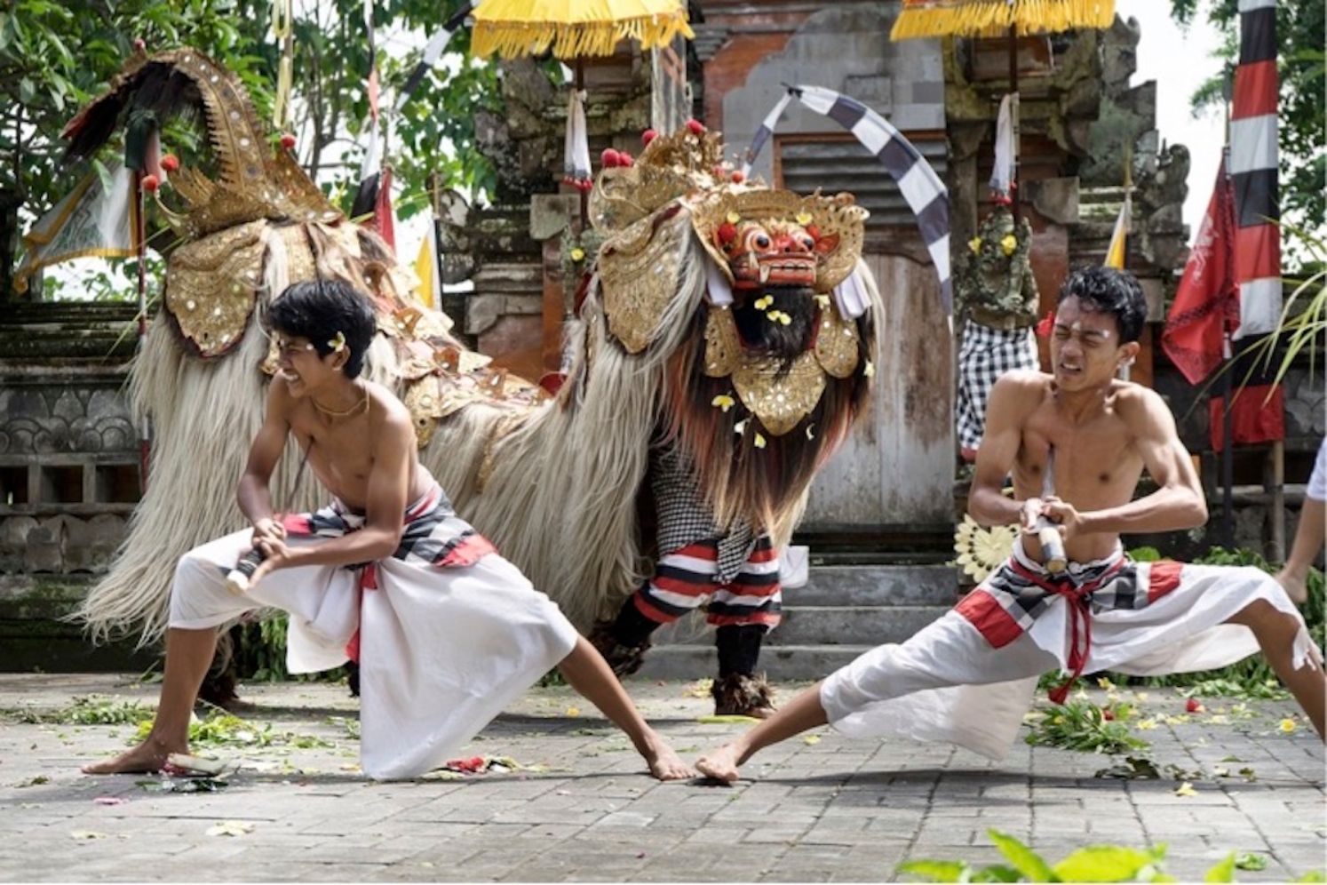 UBUD SUNSET & LAND LOT TOUR